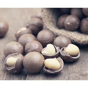 Macadamia Nut Macadamia Nut