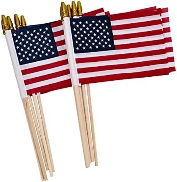 12 Pack Small American Flags on Stick Small US Flags/Mini American Flags for Outside 4x6 Inch American Hand Held Stick Flags with Kid-Safe Spear Top, Patriotic Veterans Day Decorations, 4th of July Decorations