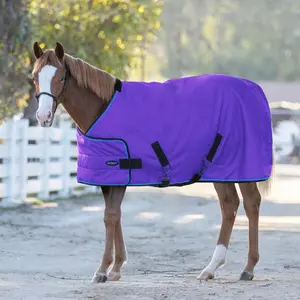 1200D Adjustable Weanling 180G Medium Weight Winter Turnout Blanket - Waterproof & Breathable