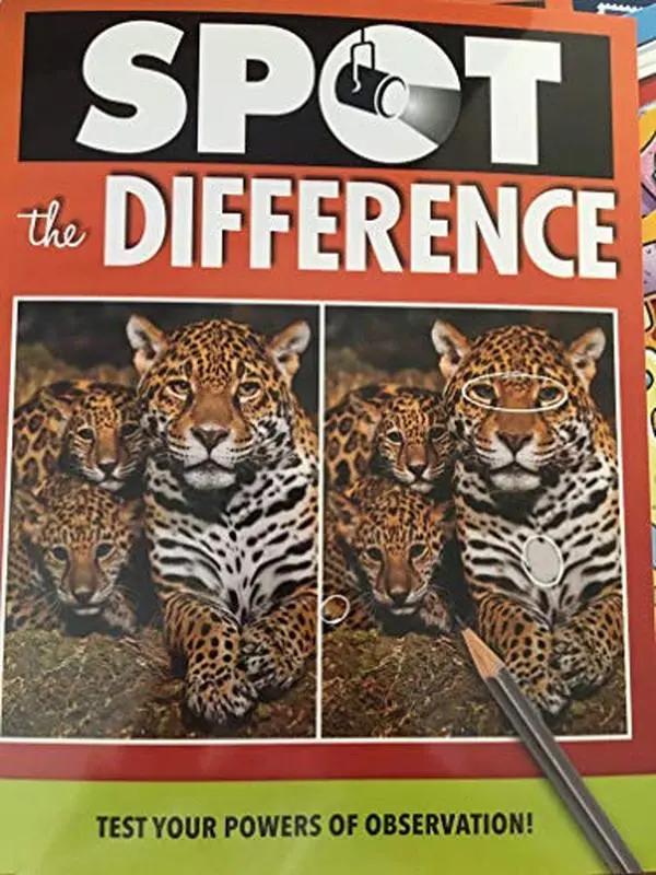 USED Book - Spot The Difference - Test Your Powers of Observation by Tammy Desnoyers (Paperback)