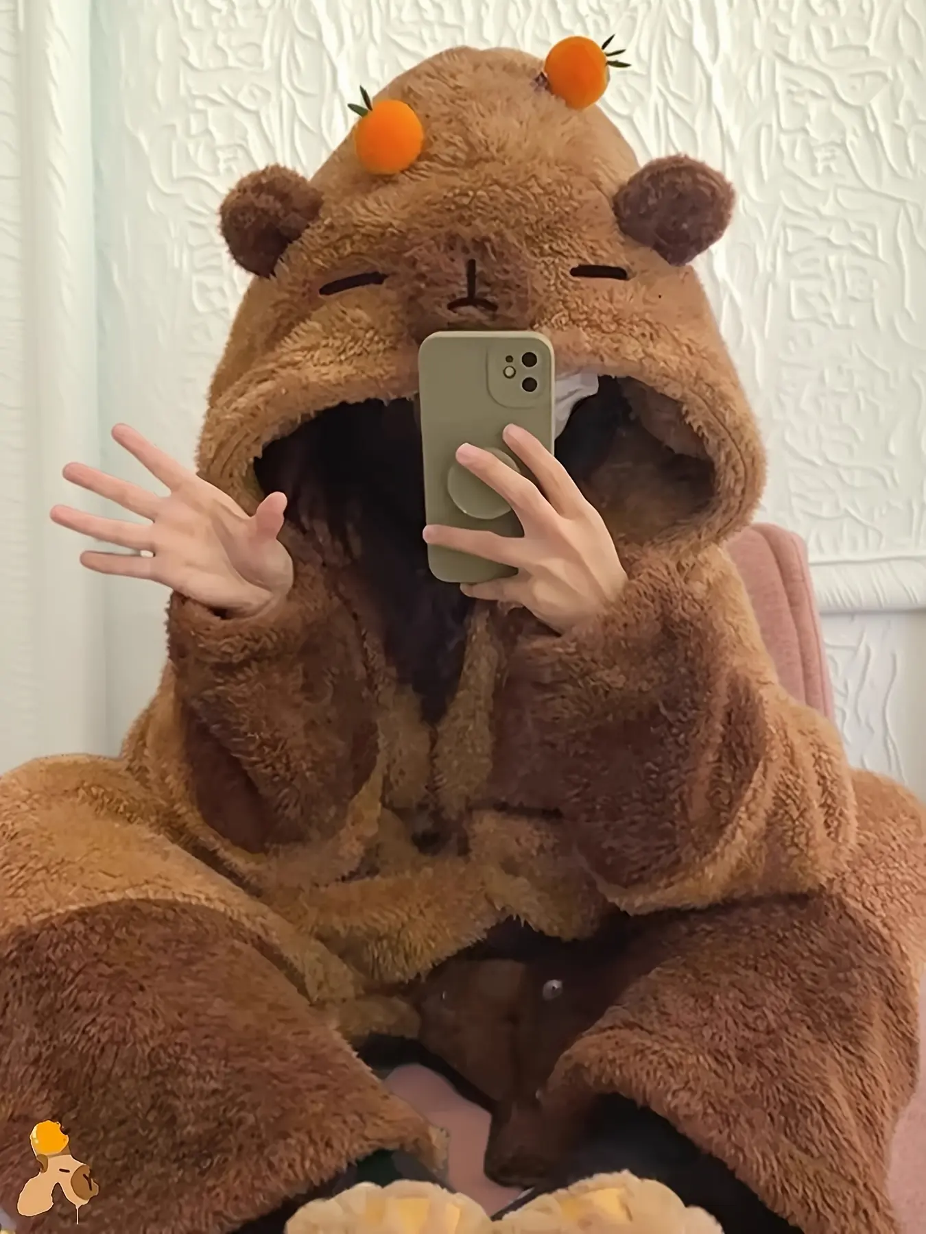 Hooded Bathrobe with Capybara Print, Soft Plush Loungewear with Long Sleeve, Pockets and Belt for Autumn, Graphic, All Seasons, Cartoon, Pockets Belt, One-Size