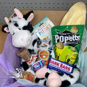 Buddy Box- A fun surprise box that includes miscellaneous toys and treats for your pup! Includes plush toys, treats, and fun new sample for your furry friend to try!