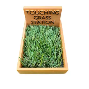 Touching Grass Station - Wooden Display with Green Grass for Decorative Use