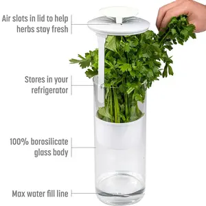 Fresh Herb Keeper Airtight Food Container with Ventilation Holes for Parsley Basil Cilantro and Vegetables Reusable Leakproof Storage Box for Fridge