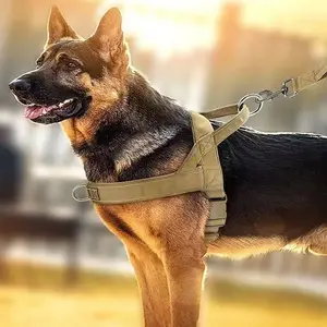 Explosion-proof dog leash and harness suitable for pets, easy to wear with a no-pull design, safe, stable, and comfortable, a vest-style universal harness