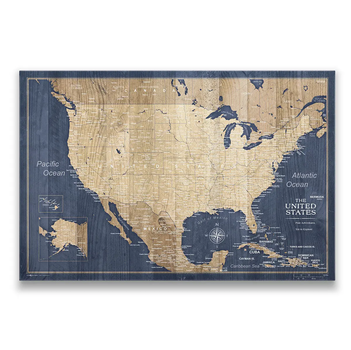 Push Pin USA Map (Pin Board) - Deep-Sea Drift