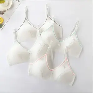 Developmental underwear, schoolgirls, girls, junior high school students, suspender bras, adolescence, comfortable and breathable, bras, bras