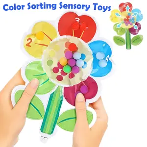 Color Sorting Sensory Toy Travel Toys for Toddler 1-3 Airplane Toy Roadtrip Essenstial for Toddlers Boys Gifts Fine Motor Autism Calm Fidget Montessori Preschool Activities for Kid Christmas Preschool Learning Tool