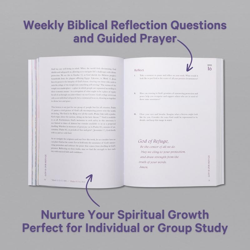 Alabaster A Beautiful Year in the Bible: The 52-Week Bible Study for Women Daily Devotional Journal with Thoughtful Prompts & Suggested Readings (Soft-Cover)