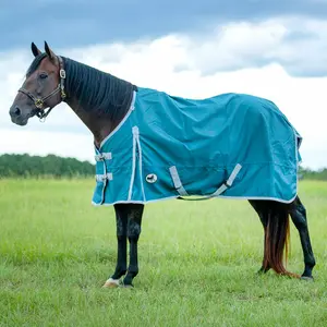 Jeffers Economy 600 Denier Medium Weight Standard Neck Horse Turnout Blanket, 240 Gram