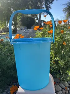 Cubeta 8.5 litros Azul