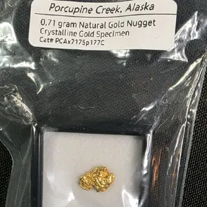 0.71 Gram Natural Gold Nugget Crystalline Gold Specimen, Porcupine Creek, Alaska. Cat# PCAx7175p177C