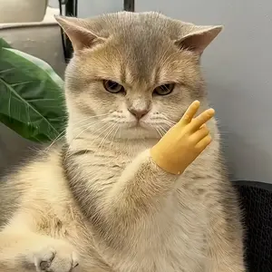 1pc Funny Cat Glove - Cute finger-like design, Non-Toxic Rubber Pet Glove for Interactive Play, Scratch-Resistant - Safe for Kittens & Adult Cats - Perfect for Photo Shoots, Parties, Everyday Bonding - Ideal Gift for Cat Owners, Cat Accesso