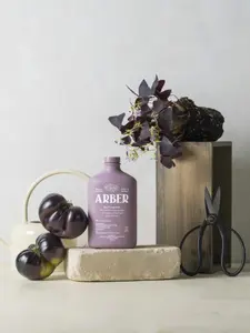 Arber Organic Bio Fungicide