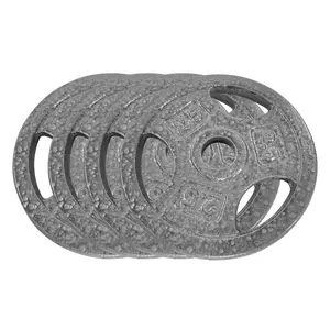 Garvee Cast Iron Weight Plates Set 1 in, 2.5 LBS/5 LBS/10 LBS/25 LBS Bumper Plates for Home Gym, Strength Training & Weightlifting (4 x 2.5 LBS Sets)
