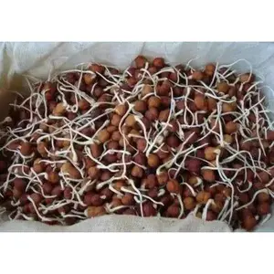 Black Chickpeas, Garbanzo, chana