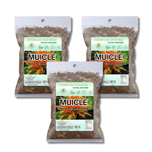 VIRAL Muicle Té (3 Pack) Special Bundle - Mexican Honeysuckle Herbal Tea 4 oz Each - 100% Natural Vegan Non-GMO Caffeine-Free Loose Leaf Traditional Infusion