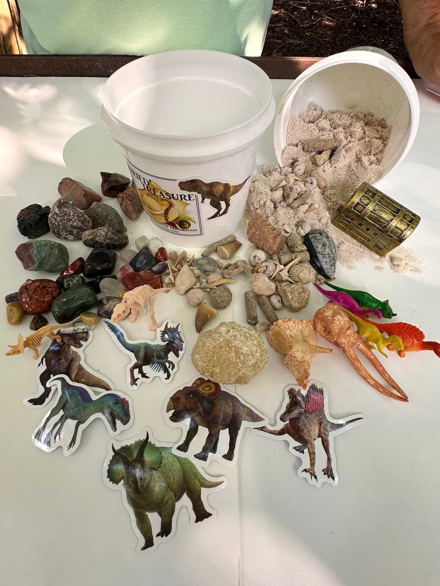 DINOSAUR MINING BUCKET - ONE GALLON