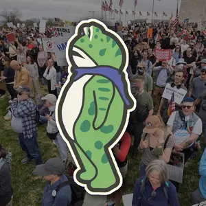 Portland Frog Protester Stickers, Green Fog Sticker, Pro Immigrant Sticker, Laptop Water bottle Stickers