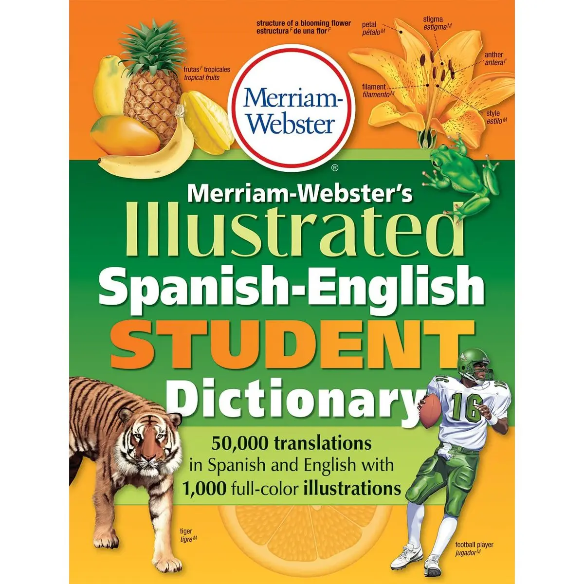 Merriam-Webster's Illustrated Spanish-English Student Dictionary, Newest Edition, (Spanish & English Edition) Bilingual Edition