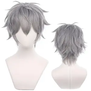 Grey Cosplay Wig Anime Short Straight Wigs Halloween,Christmas,Daily Fashion, Anime and Gaming Expo,Fancy ball