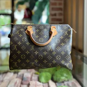 Pre-owned Louis Vuitton canvas Shoulder Bags Speedy 30 Brown Monogram Satchel Bag