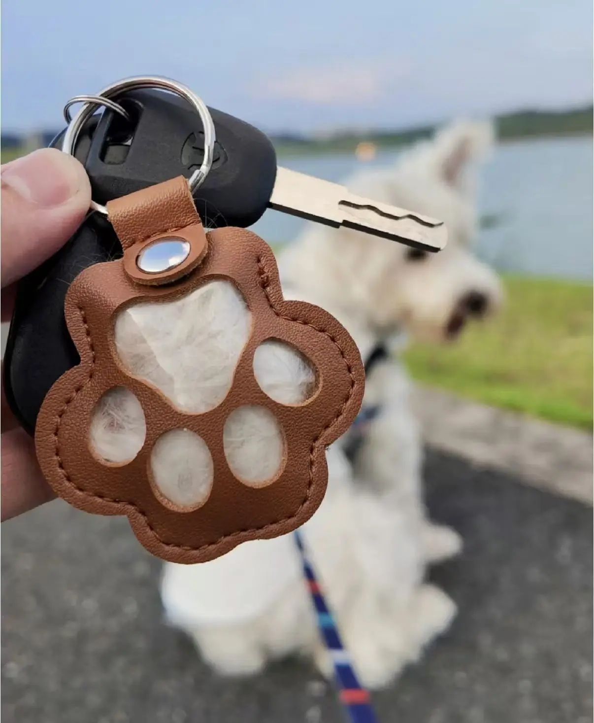 Happy Sumi New Leather Keychain Creative Cat, Dog, Hair, Pet, Hair Storage Ornament, Cute Bag Pendant，Keychains, pendants, souvenirs Personalized