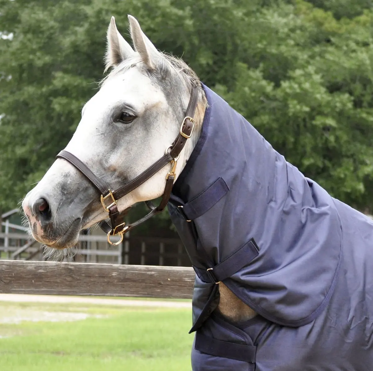 Jeffers 1680 Denier Waterproof Neck Rug for Horses, 240 Gram Fill Jeffers 1680 Denier Waterproof Neck Rug for Horses, 240 Gram Fill