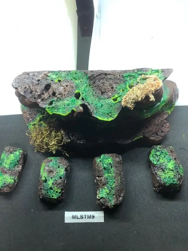 Reptile Medium Sub Tropical  Magnetic Rock Ledges For Terrariums And Cages
