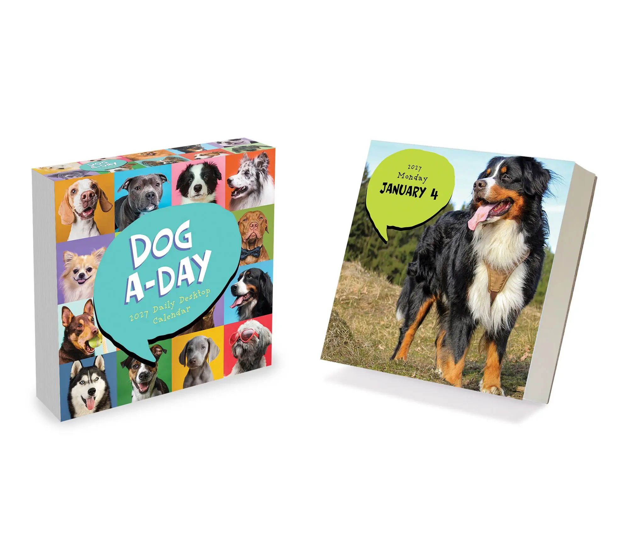 2027 Dog A Day Daily Desktop Calendar 2027 Dog A Day Daily Desktop Calendar