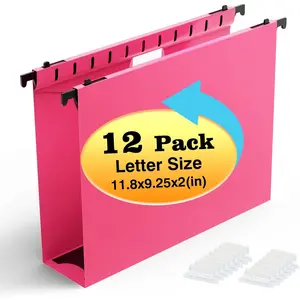 Extra Capacity Plastic Hanging File Folders,12 Reinforced Hang Folders,2 Inch Expansion,Plastic Filing Cabinet Folders,Letter Size,Designed for Bulk Files, Medical Charts,Pink