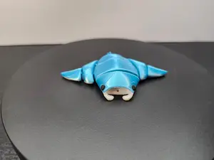 Manta Ray