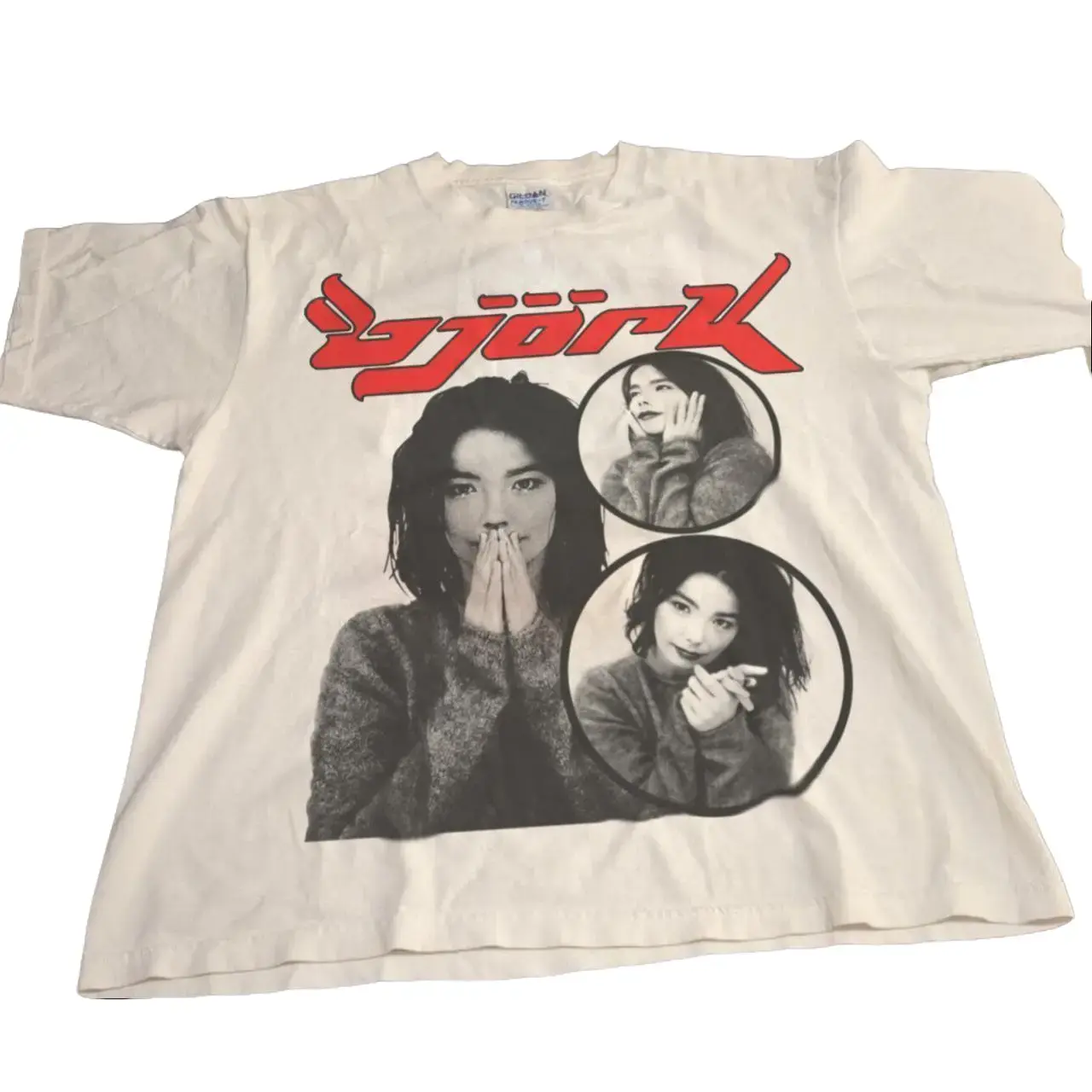 Bjork  Tshirt Gift For Fan, Women And Men