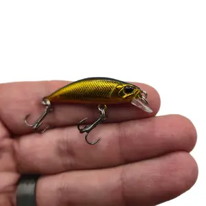 ebc Trout Slayer 1.5 inch minnow popper crank bait