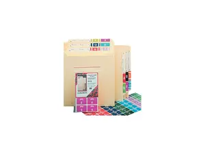 Smead 67171 Alpha-Z Color-Coded Second Letter Labels, Letter A, Red, 100/Pack