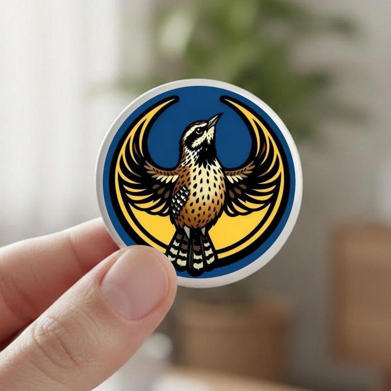 Kansas Logo Button Pin – Colorful Star Graphic Badge for Jackets & Bags