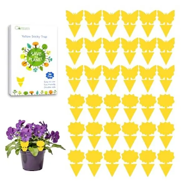 Garsum Fruit Fly Sticky Trap for Indoor and Outdoor, 36 Pack Fungus Gnat Killer for Houseplant,Mosquitos, Flying Insect, White Flies