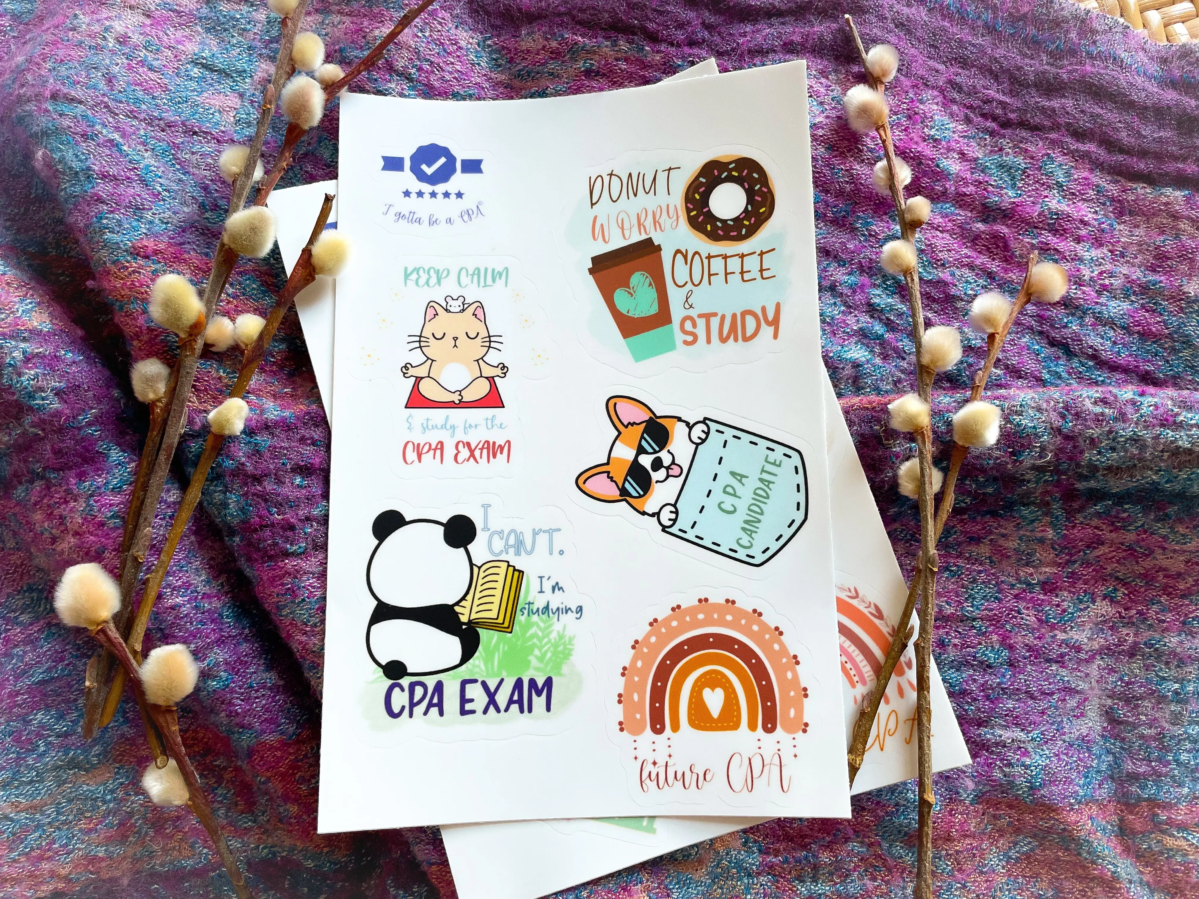 I Gotta Be A CPA LLC CPA Exam Sticker Bundle 6 Premium Vinyl Stickers on 5x7 Sheet Waterproof Durable Motivational Design for Study Planner Notebook Laptop Water Bottle