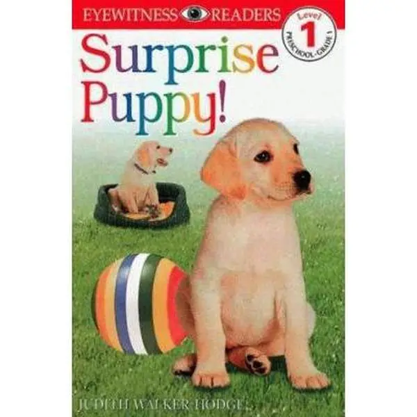 USED Book - DK Readers: Surprise Puppy (Level 1: Beginning to Read) by Judith Hodge (Paperback) - english
