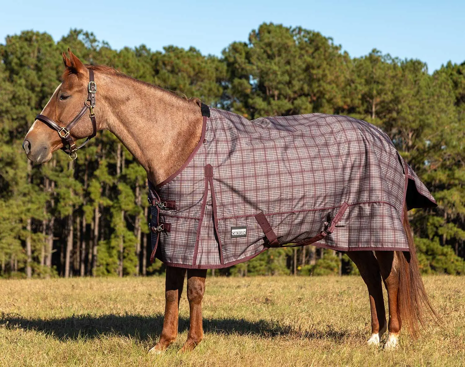 Jeffers Poplar Head Origin 600 Denier Turnout Sheet, 0 Gram, Espresso and Wine Plaid