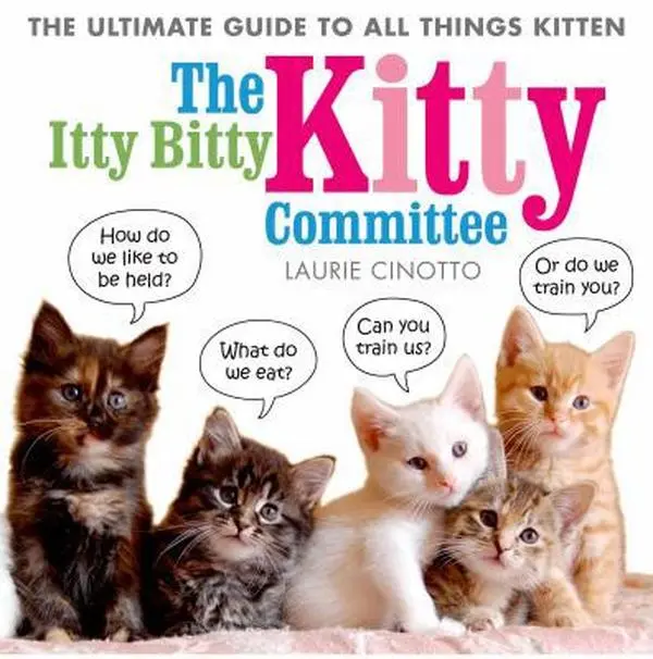 USED-The Itty Bitty Kitty Committee: The Ultimate Guide to All Things Kitten by Laurie Cinotto (Paperback)