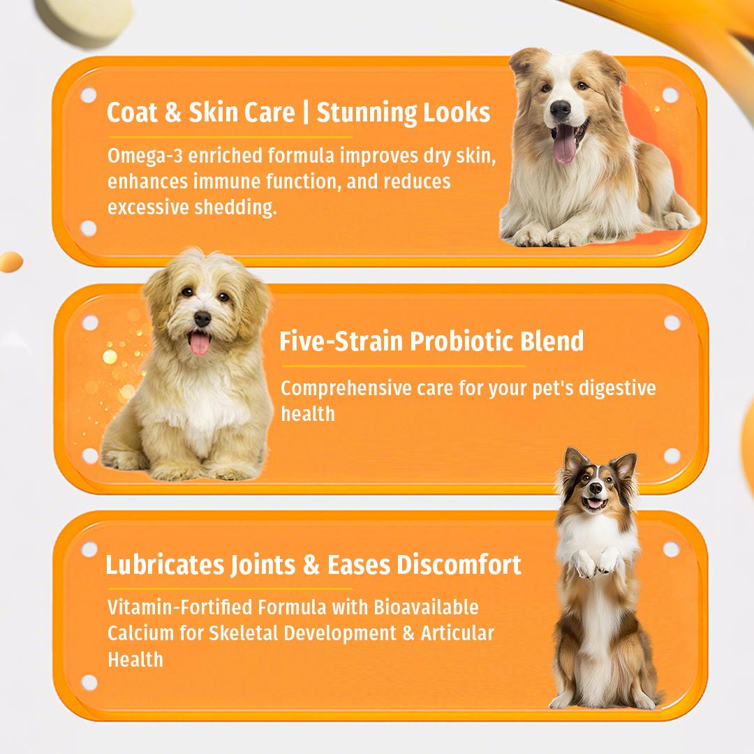 Cassiel Pet, Pet Nutrition Gel, Daily Wellness, Shiny Coat & Energy, Supports Digestive Health, Essential for Dogs, Electrolytes Gel for Beach Camping Hiking, Peanut Butter Flavor, Dog Lover, Pet Nutrition