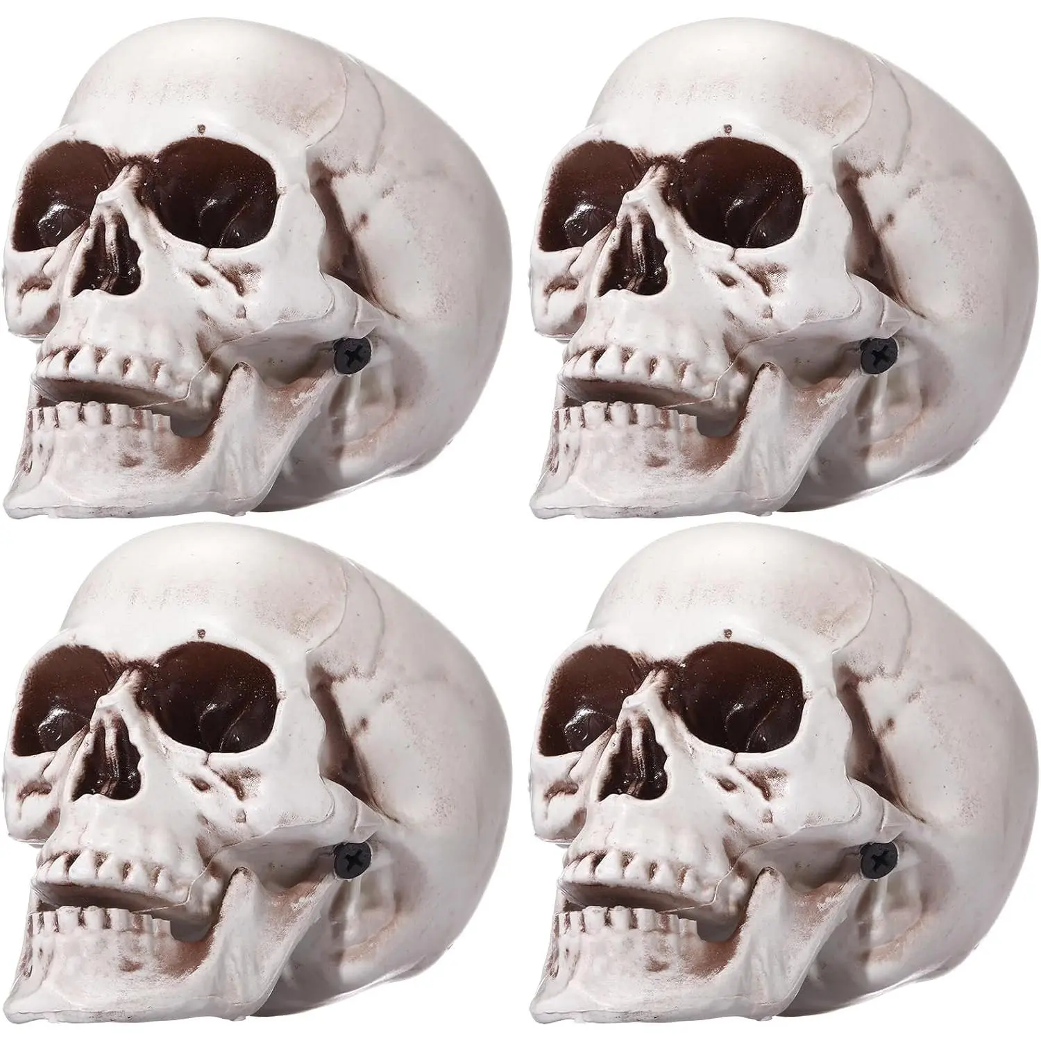 4 count Halloween Human Skull Model Adult Plastic Skull Decor   Decorations Realistic   Model Human Skeleton Statue (4.3 Inch)