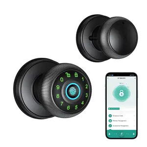 Smart Fingerprint Door Lock with Keypad Control HOUMICA
