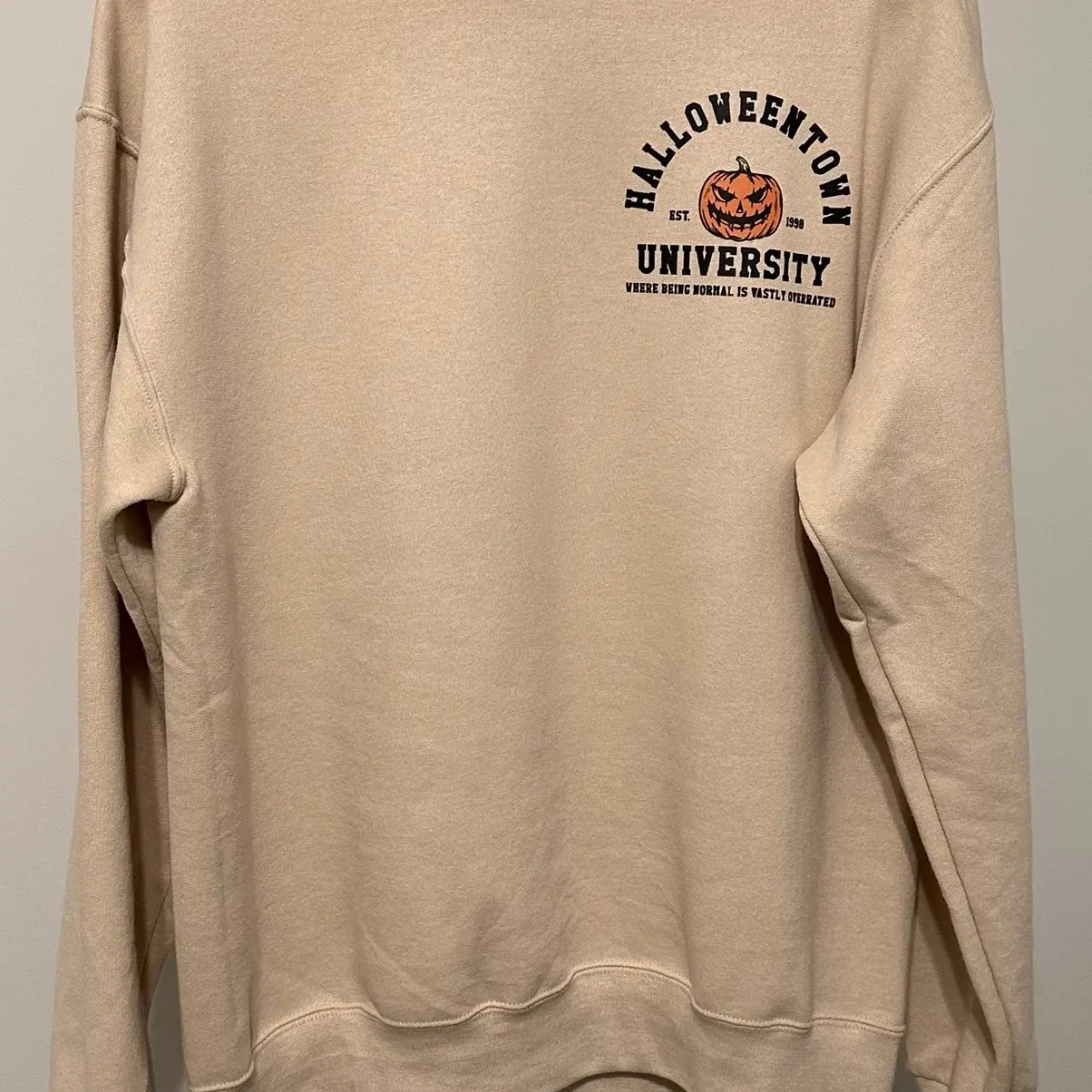 HalloweenTown University Jerzees Crew Neck Sweatshirt