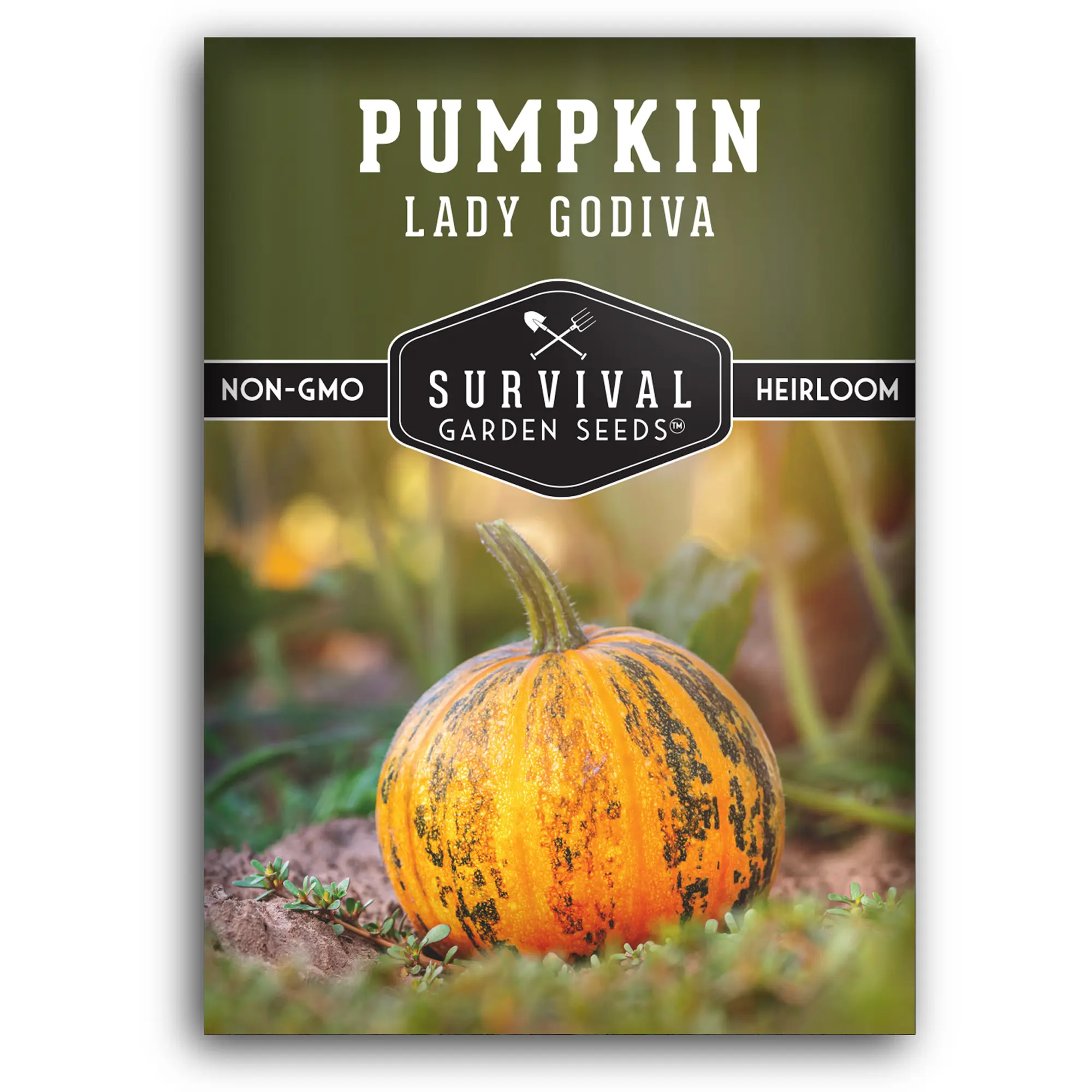 Survival Garden Seeds Lady Godiva Pumpkin Seed - Non-GMO Heirloom Seeds for Tasty Roasted Snacks - Yellow-Orange Rinds with Green Stripes - 4G