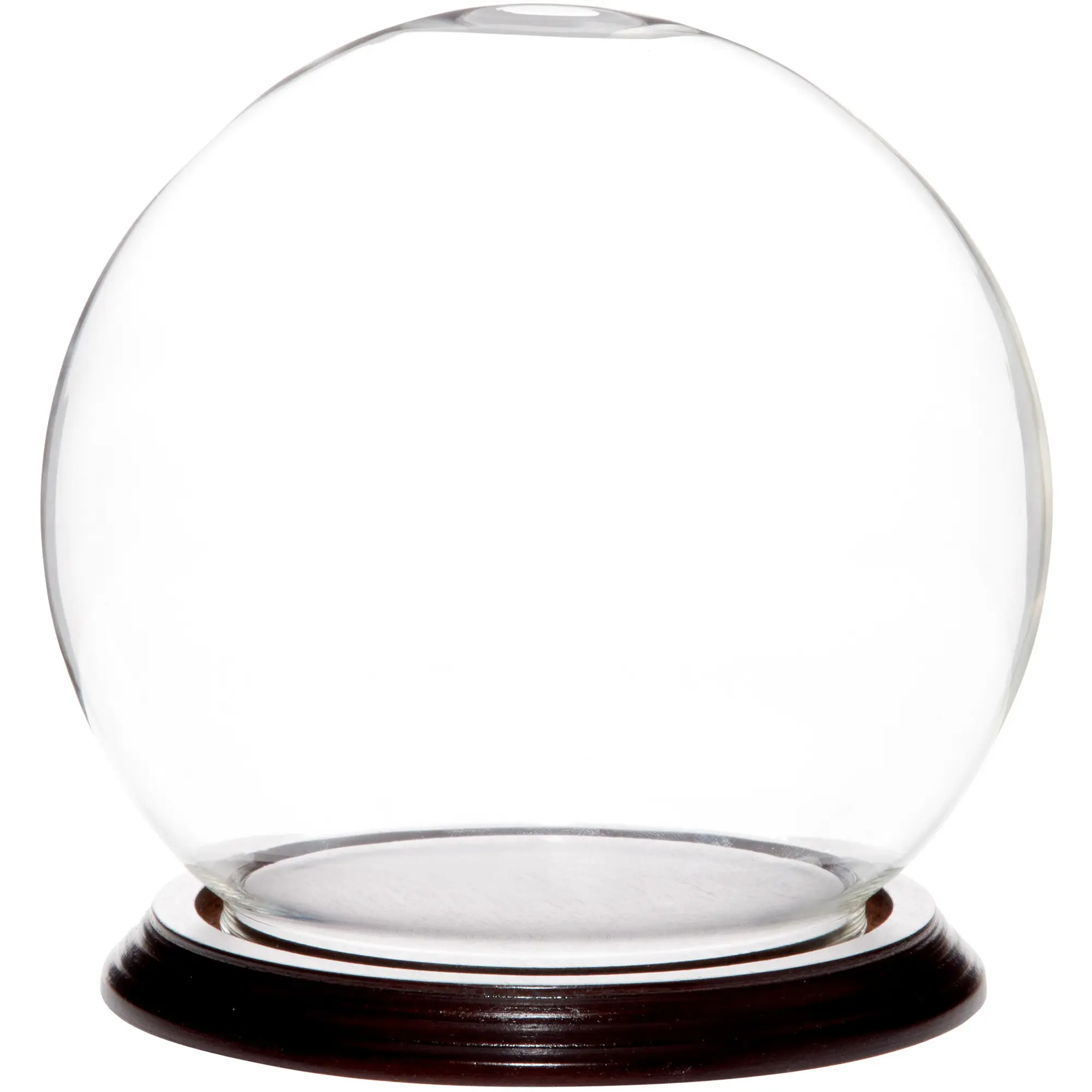 Plymor 6" x 7" Glass Display Dome Globe Cloche