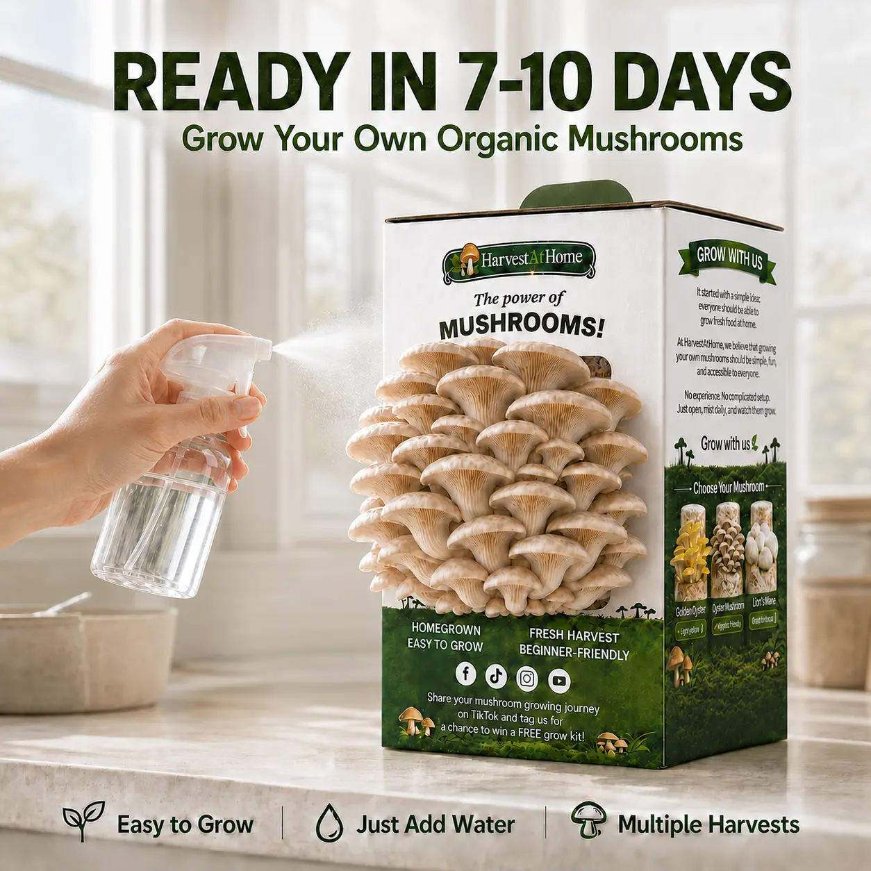 【New】Organic Oyster Mushroom Grow Kit, 3.5 lb – Easy Indoor Mushroom Growing Kit, Visible Growth in 1–7 Days, No Soil or Sunlight Needed, Multiple Harvests, Made in USA, Gift for Adults & Kids