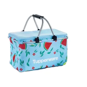 Collapsable Picnic Basket