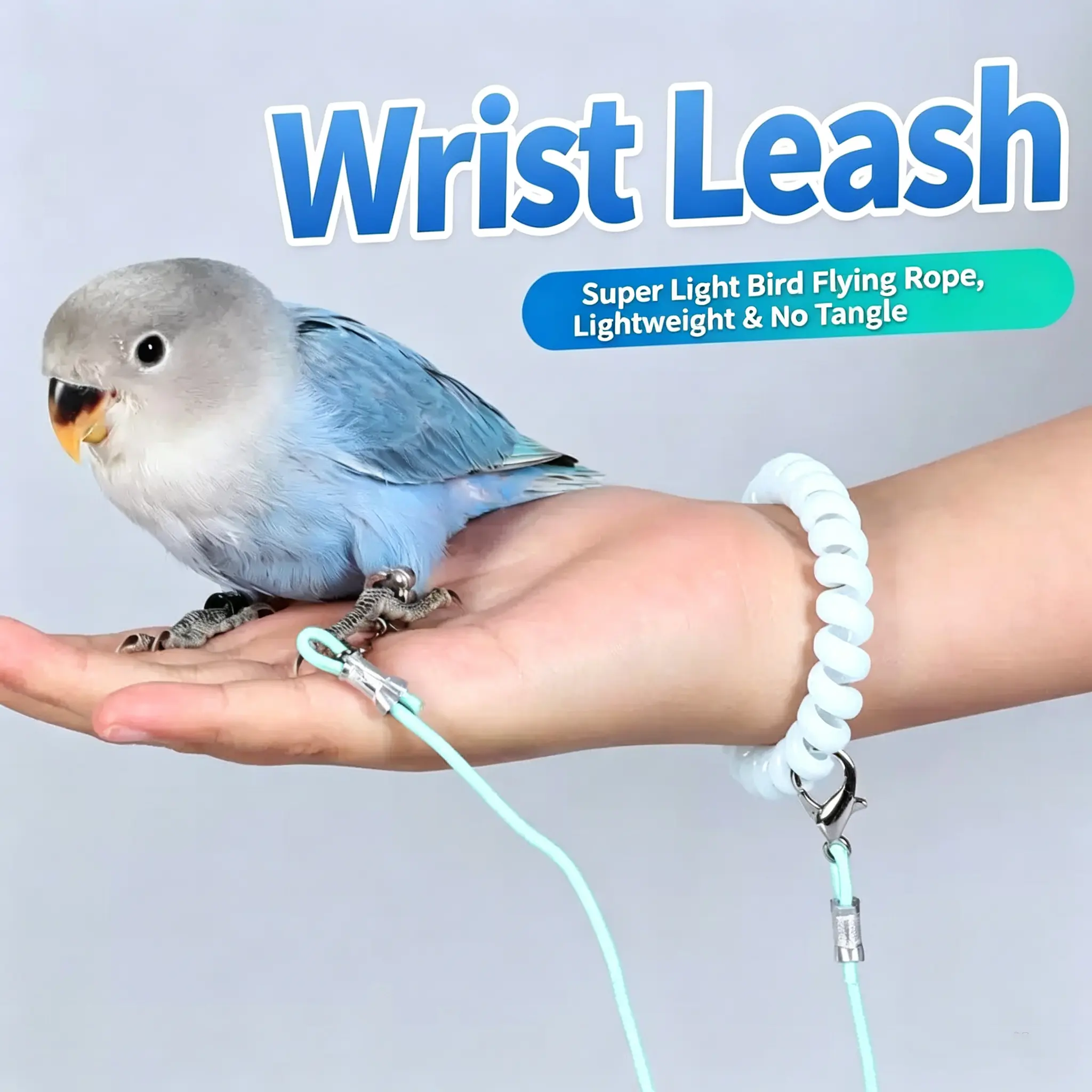 Bird Training Leash with Elastic Release Rope and Safe Foot Ring - Ultra-Light, Portable Anti-Lost Walking Aid for Parrots - Suitable for Indoor and Outdoor Use